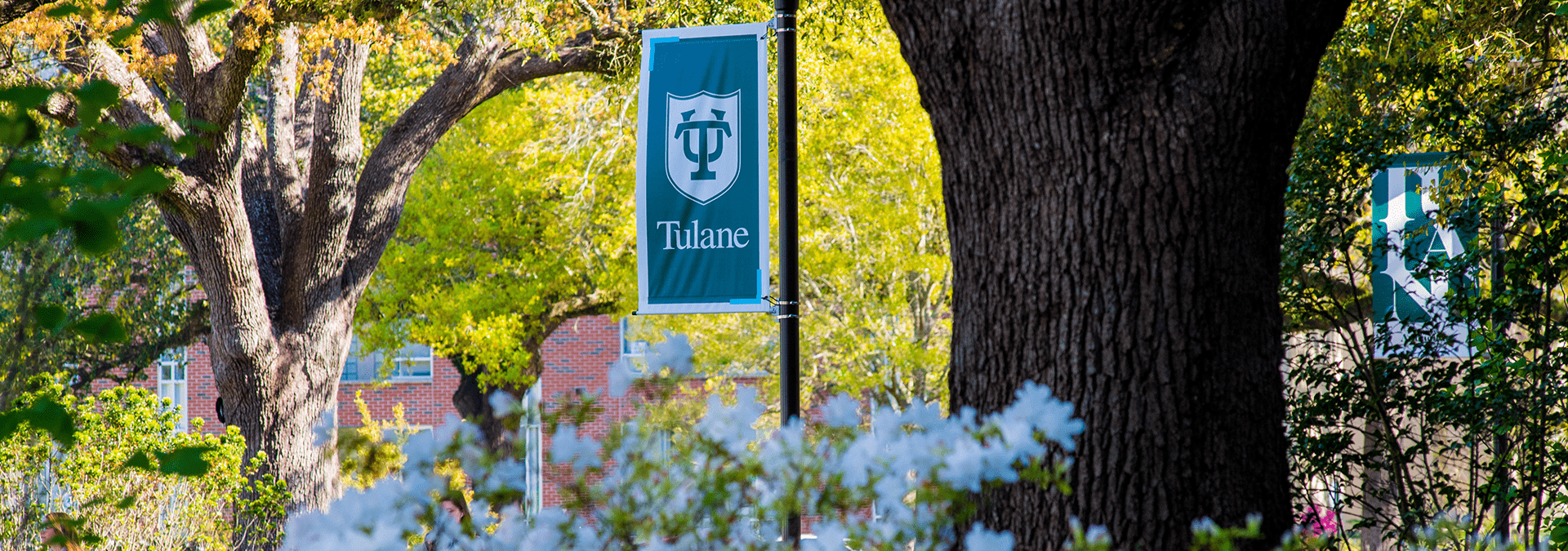 a Tulane banner on campus