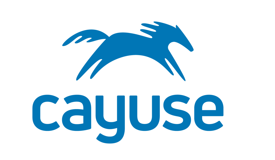 Cayuse logo with blue horse and text
