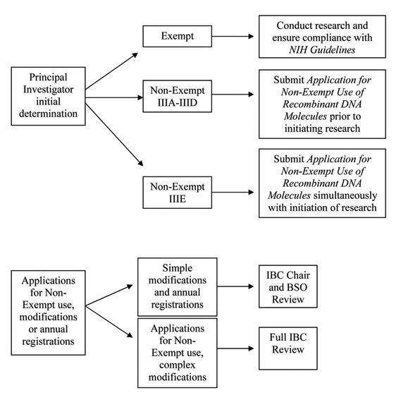 Review Procedure chart