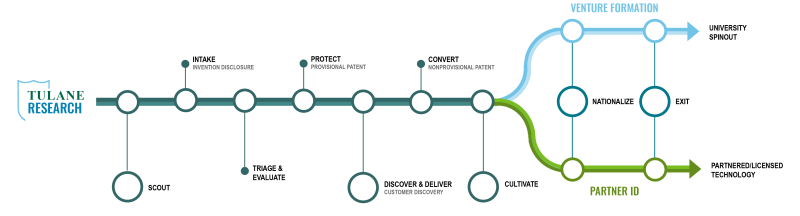End To End Commercialization Roadmap